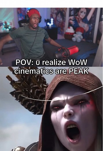 Discovering the Peak of World of Warcraft Experience