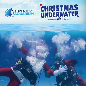 🎄🌊 'Tis the SEA-son for Christmas Underwater at Adventure Aquarium, presented by Shriners Children’s Philadelphiave into holiday magic from November 23 to December 24! 🦈✨ Jingle all the wave to see Scuba Santa swimming alongside sharks, sea turtles, and rays, spreading festive cheer. Discover holiday surprises on land and sea, from the World's Tallest Underwater Christmas Tree to magical flurries in our Snowtunda! ❄️🎅 Don’t miss the wonder of the season—explore Christmas Underwater today: ht