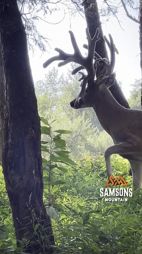 Samsons Mountain on TikTok