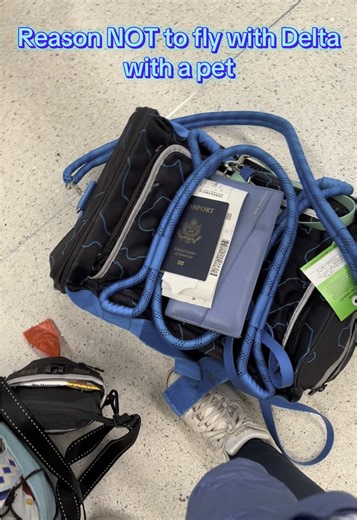 Why Delta's Pet Policies Frustrate Frequent Flyers