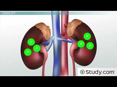 Phosphorus Deficiency & Toxicity Symptoms