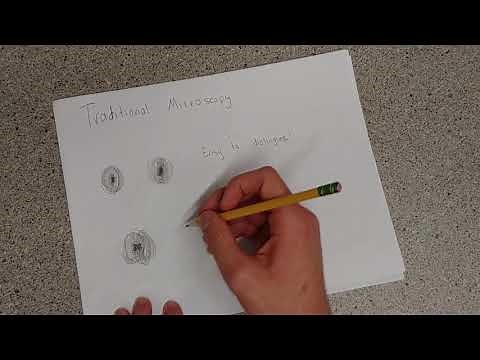 21_Structured Illumination Microscopy (SIM)_ICone