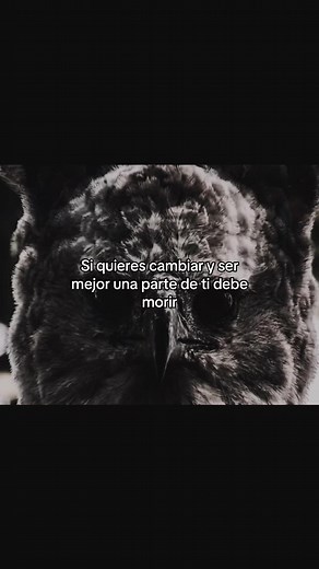 Mentalidad egocéntrica: qué morir para mejorar