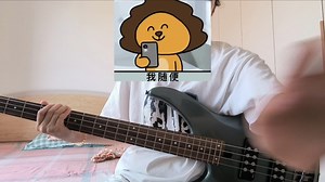 只有音乐才是我的解药-反光镜乐队【bass cover】