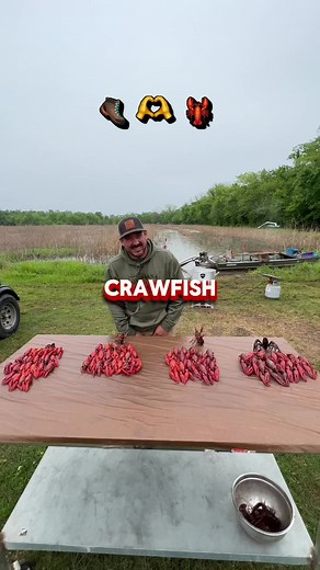 How to Choose the Perfect Crawfish Size: A Guide for Seafood Lovers