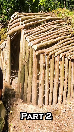 Building a Cozy Bushcraft Shelter: Tips and Techniques