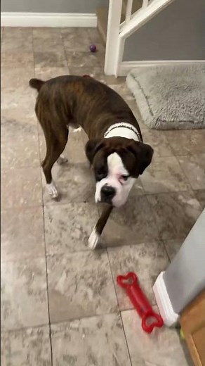 Morning routine with ‪@skouts_honor‬