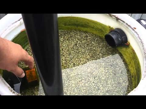 Koi Pond Sand and gravel filter How to Clean it out.