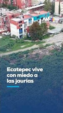 Ecatepec residents live in fear due to dog pack attacks in Edomex
