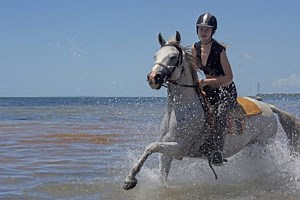 Always dreamed of swimming on horseback? Look no further - Horse & Hound