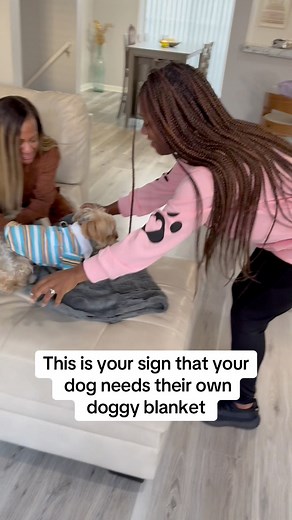 Blanket link in my bio! #FurTasticThanksgivingChallenge interactive challenge. Influencers post creative Thanksgiving content featuring the brand's products and invite followers to join the challenge by using the hashtag to share their own Thanksgiving-themed pet looks (e.g., "Pet dressed as a turkey, pumpkin pie, Thanksgiving dinner table," etc.). Participation Requirements (3 simple steps): ✅ Follow @luciphia ✅ Like this post ❤️ ✅ Tag a friend and use the hashtags: Prize Setup: https://amzn.to