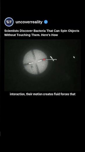 Scientists Discover Bacteria That Can Spin Objects Without Touching Them #shorts
