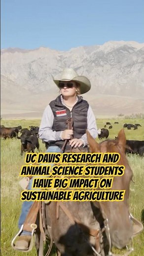 UC Davis Research and Animal Science Students Have a Big Impact on Sustainable Agriculture‼️ 🐂