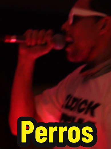 Esos perros se sorprenden Guau Guau #rapmexa #perotefest #rapmexicano