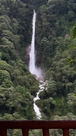 a waterfall in Medog County of Xizang (#Tibet) autonomous region (西藏墨脱县). "Nature does not hurry, yet everything is accomplished." -- Lao Tzu ❤州里环中国自驾 ❤❤❤ #Nature #Peace #wildlife #China #love #travel | Lin hillside