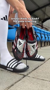 adidas Predator Tongue in leather? The game is healing. Shop your pair in our online store now or just comment ‘Pred’ for a link straight to your inbox. - #prodirectsoccer #adidas #adidasfootball #adidaspredator | Pro Direct Soccer