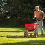 Organic Lawn Care Programs | Natural Weed Controls and Fertilizer