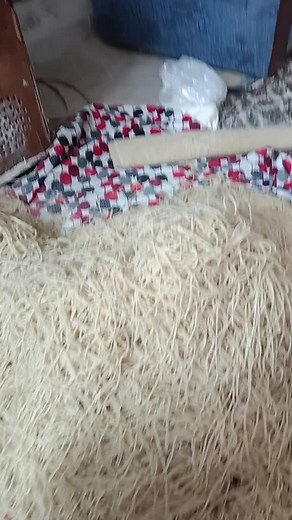 Homemade Noodle Extrusion Process Explained