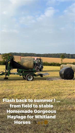 Whitland Equestrian on Reels