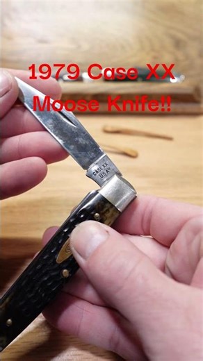 1979 CASE XX "MOOSE" KNIFE!!!!#edc #edcknife #knifereview #knifecollection #review #casexxknives