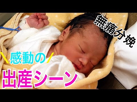 A story until birth! Birth scene release (painless delivery) "A Birth Story" main volume