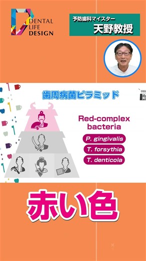 【歯周病菌ピラミッドとは？あなたのお口は、どんなピラミッド？】予防歯科マイスター天野教授に聞く！ #shorts
