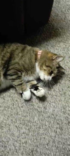 @bBelieving The Power of "the string"