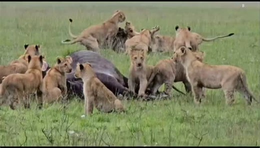 Family confrontation over a meal... | Benson Njapit