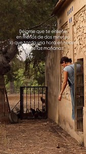 Aún faltan pasos por enseñar en este vídeo además de todas las cositas únicas de cada día ✨ ningún día es igual | Finca La Maye