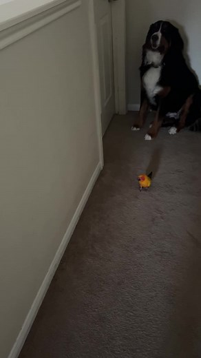 Ana de los Reyes (@anadelosr)’s videos with original sound - Ana de los Reyes