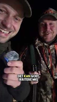 🦝 Årets første mårhund | Starten på regulering 2026