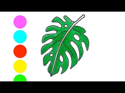 Green Leaf Drawing | Easy Leaf Coloring for Kids | Step by Step Tutorial