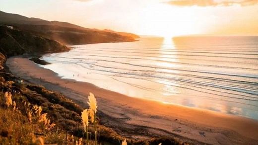 Sovereign citizens challenge NZ courts with fringe legal claims