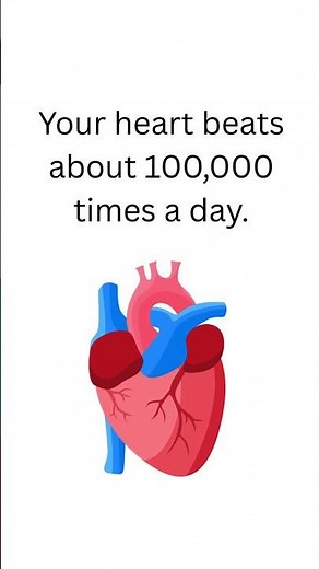 How Hard Your Heart Works? 100,000 Beats a Day Explained