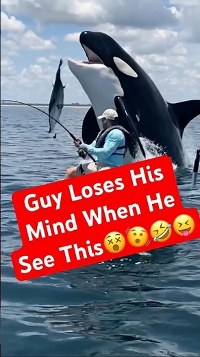 Fisherman freaks Killer Whale breaches by him #shorts #foryou #fyp #boating #meme