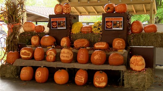 Annual Pumpkin Walk returning this fall with plenty of ‘gourd’ vibes