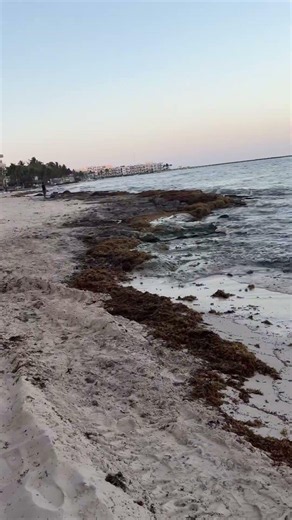 PLAYA DEL CARMEN beach view sun setting sunset view from beach