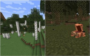 New Birch Forest and Fireflies will not be added to Minecraft 1.19 The Wild Update: Mojang confirms