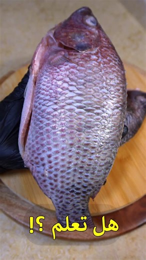 ‎Y lifestyle ياسمين الشريف‎ on Instagram‎: "هل تعلم ؟؟ظظظ . . . #foodporn #viral #follow #following #viralvideo"‎