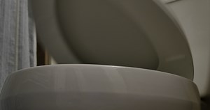 Download Flusing Toilet Bowl And Seat for free