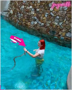 52K views · 113 reactions | Watch as the lady catches and relocates the pool snake! | JayWill | Facebook