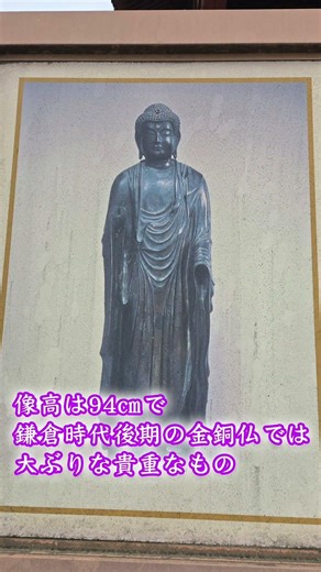埼玉・行田市 真名板薬師堂 銅造伝薬師如来立像 #shorts