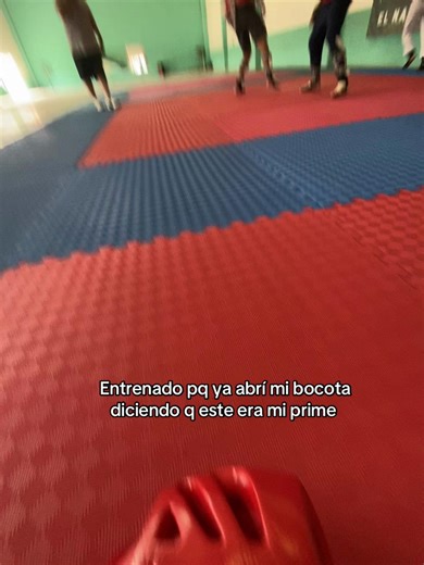 🥺#tkd #taekwondo #pinchetiktokponmeenparatii #pinchetiktokponmeenparatialv #pinchetiktokponmeenparatialv