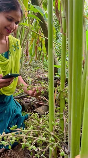 Exploring Tropical Plants in Lush Gardens