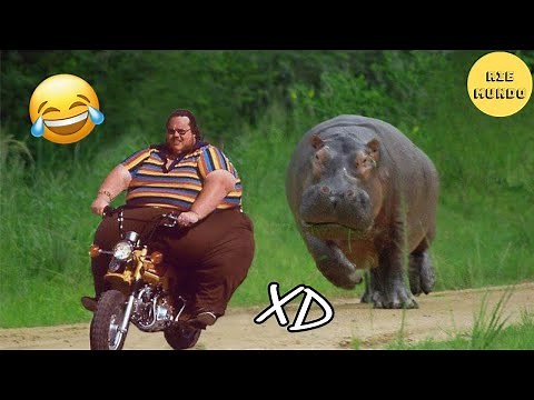 SI TE RÍES PIERDES #11 😂 Los Videos Graciosos Y Memes Más Virales Del 2025 😁