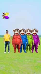 46K views · 1.8K reactions | Four purple, blue green & red Fatty dog vs cute brothers head matching with tu Radha meri main殺songs#comedy#editing#reels#viral#trending#vfx#game#magic#funny#fun#explore#foryou | Prason Vfx | Facebook