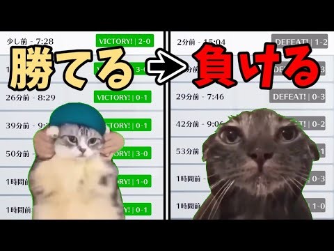 【OW2】一般オーバーウォッチ2プレイヤーの1日【猫ミーム】
