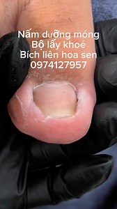 193K views · 793 reactions | Bích Liên Hoa Sen on Reels | Facebook