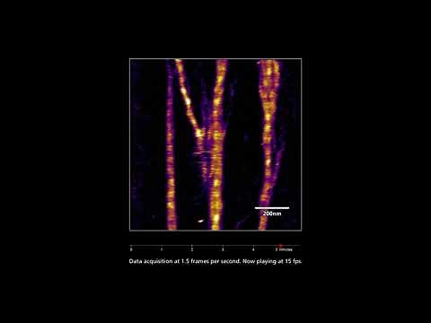 Assembly of Collagen Fibrils on Mica - AFM Video