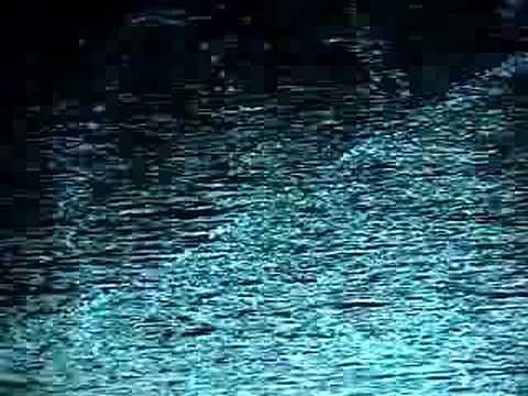 Deborah Allen's All the Loving and Hurting too